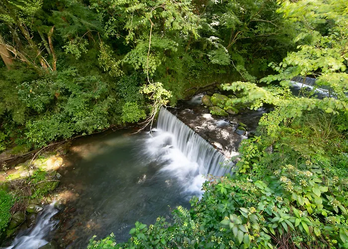 Pet Friendly hotel: Hakone Nanase Formerly Known As Manatei Hakone